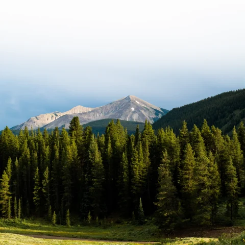 Mountains and green trees in Colorado. 