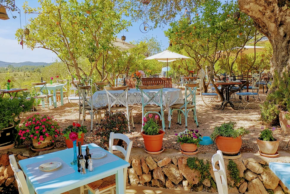 An outdoor restaurant with a rustic feel under trees in Ibiza.