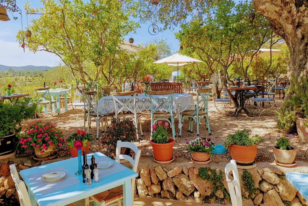 An outdoor restaurant with a rustic feel under trees in Ibiza. 