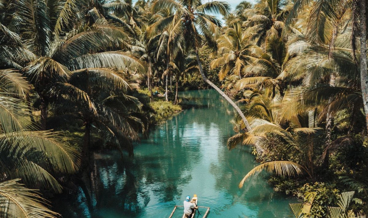 River running through green palm trees. 