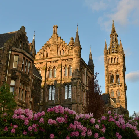 A brown antique castle-like building with a pink and green rose tree in Glasgow, Scotland.