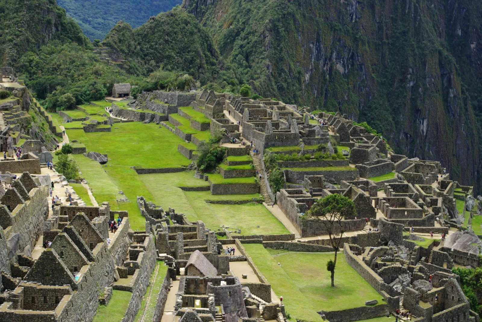 Ancient ruins and greenery in Machu Picchu, Peru.