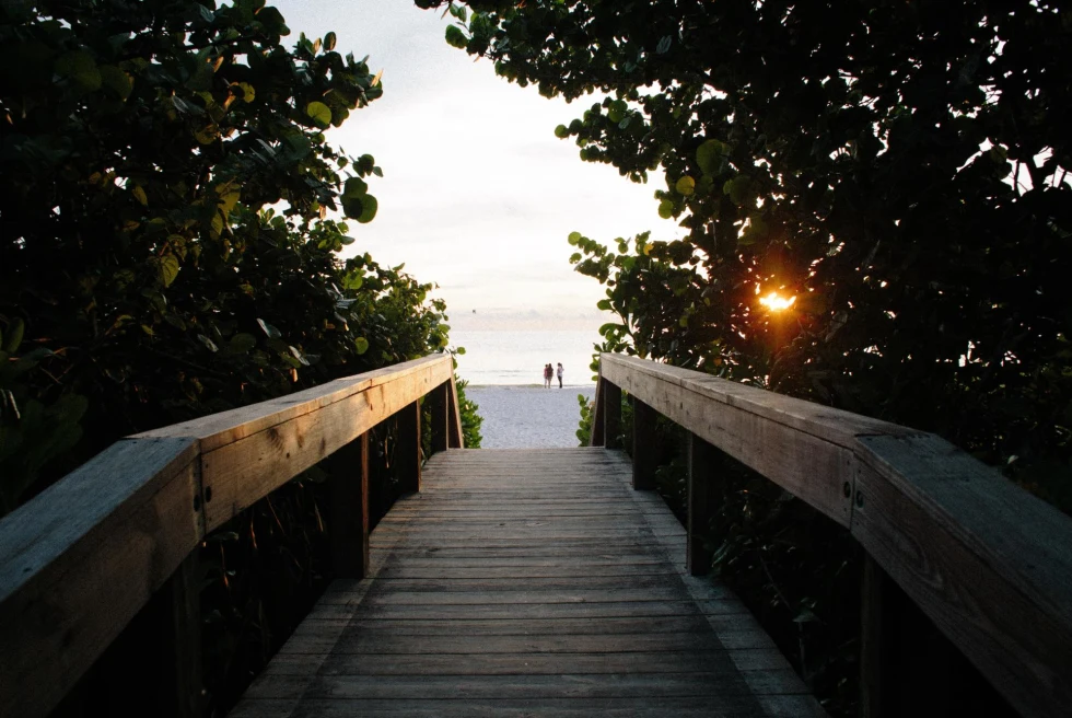 boardwalk shaded by trees leads to a beach at sunset