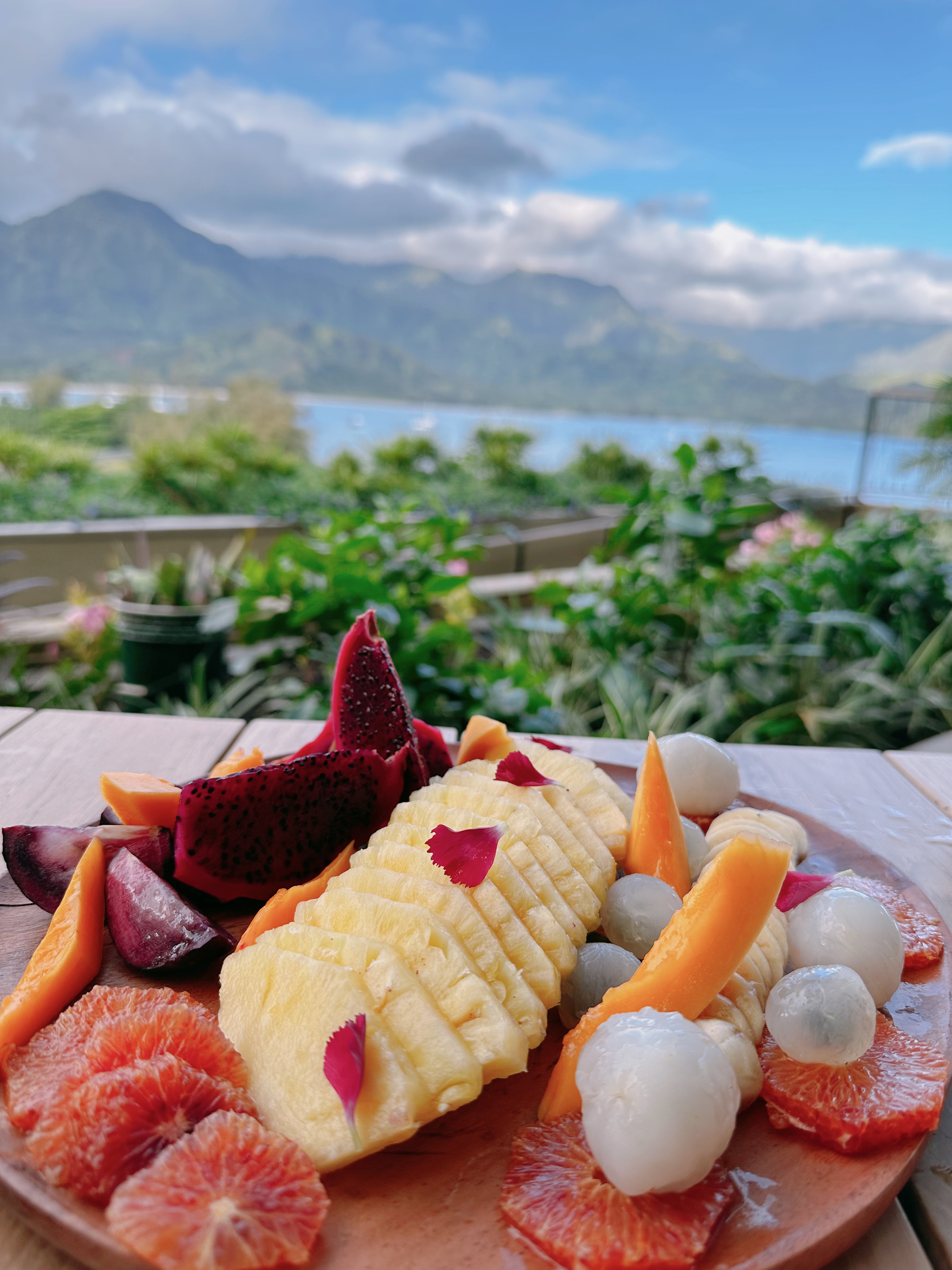 delicious food dish island view