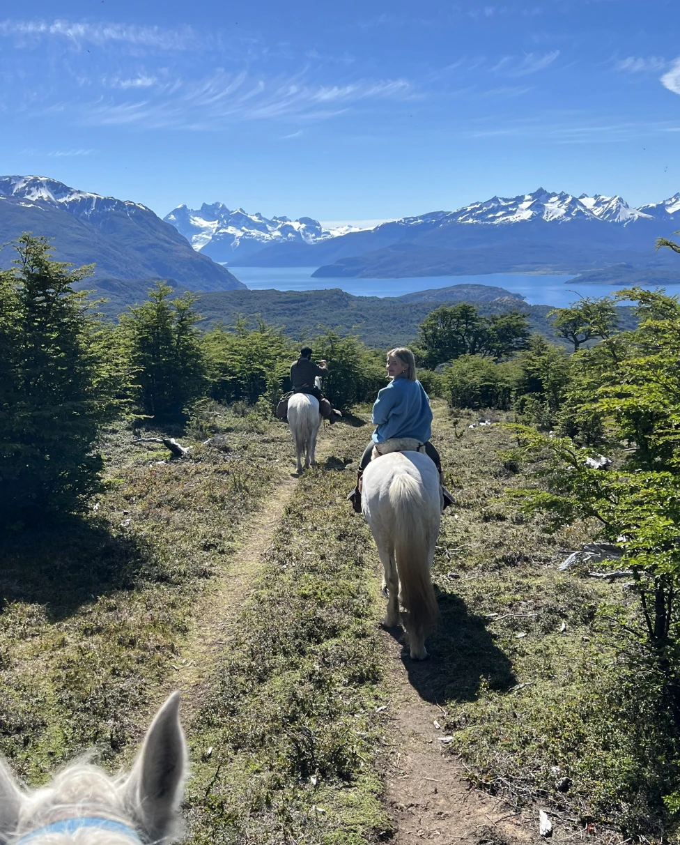 Three people on horses walking through a trail during daytime