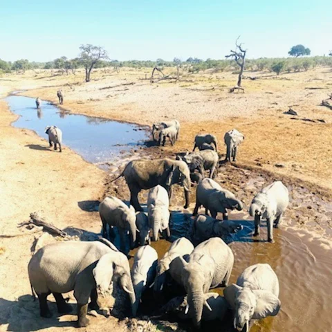 Cindy Rhee | Fora Travel