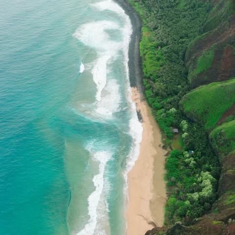 Aerial view of ocean and beach next to green mountain during daytime