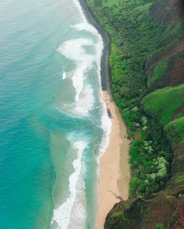 Aerial view of ocean and beach next to green mountain during daytime