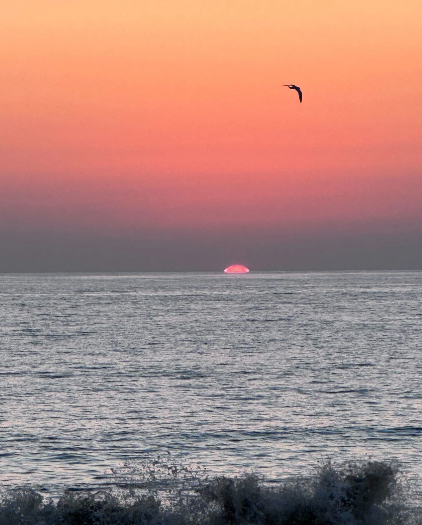 the pink sun almost disappears below on the ocean with an orange sunset 