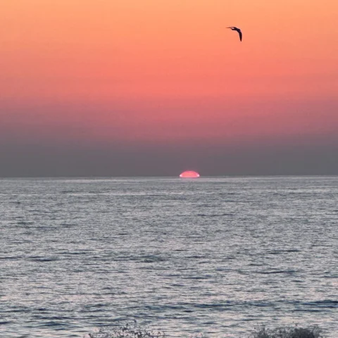 the pink sun almost disappears below on the ocean with an orange sunset 