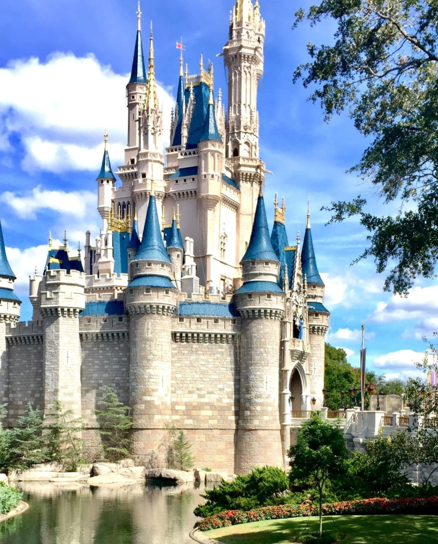 castle at Disney land