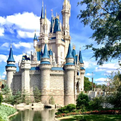 castle at Disney land