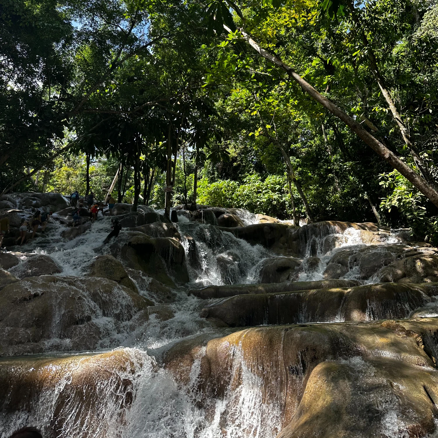 Travel Advisor Katelyn Hirt's photo of a flowing stream.