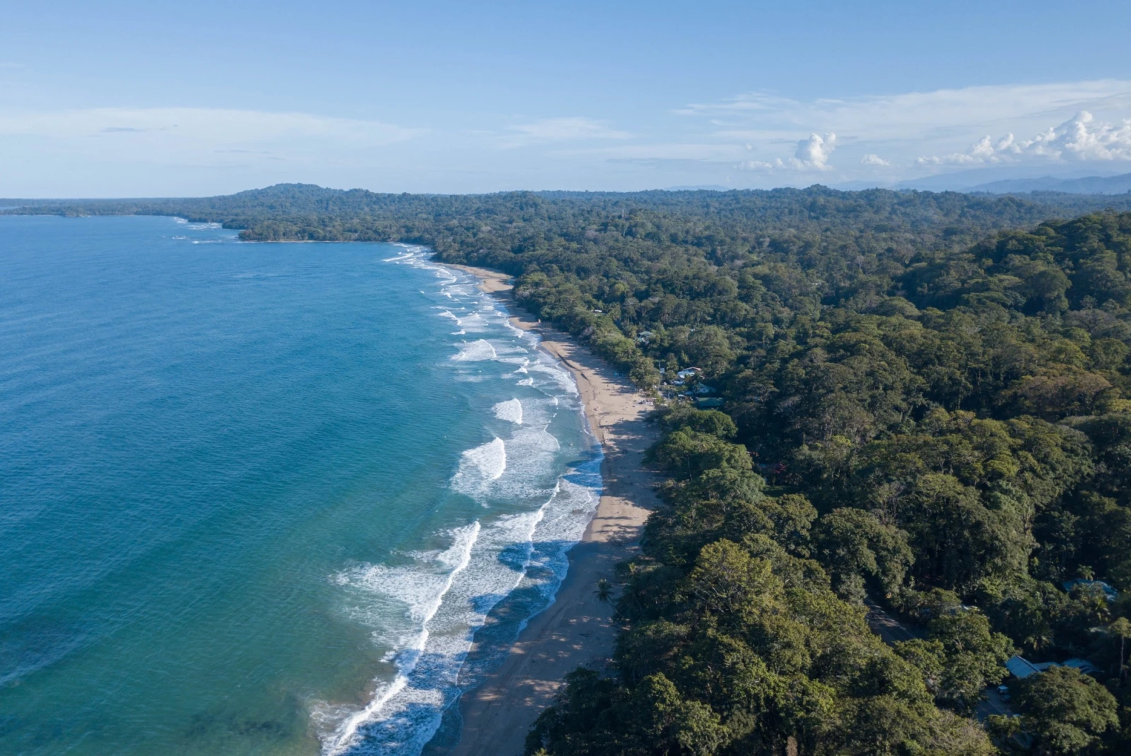 aerial view of an untouched beach and jungle