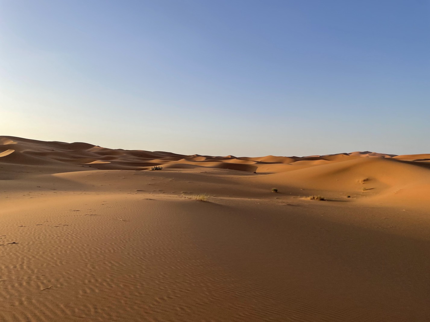 Expansive desert with blue skies during daytime