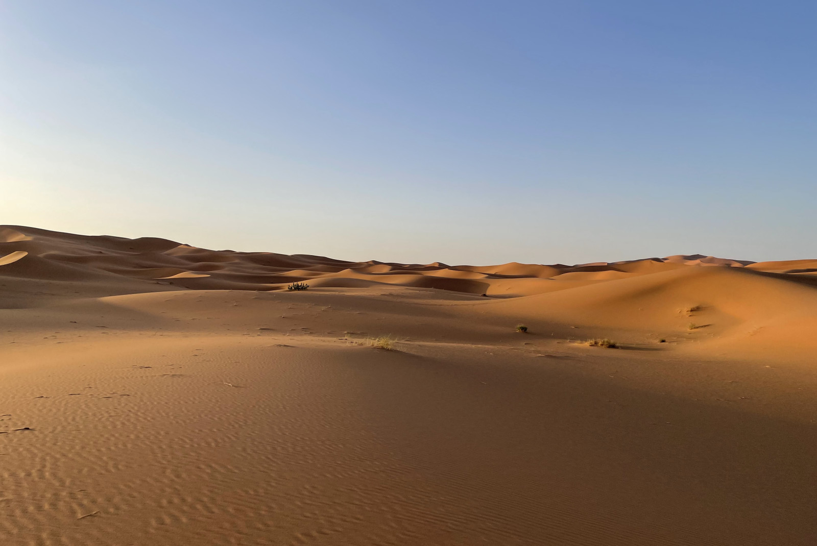 Expansive desert with blue skies during daytime