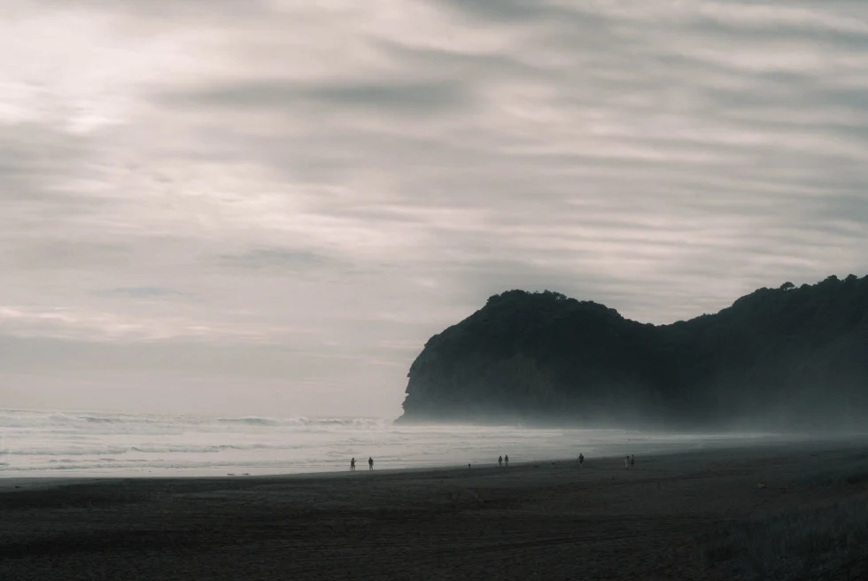 black sand beach with mist