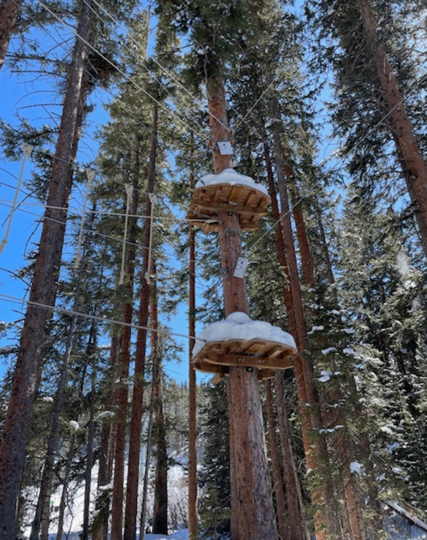 Trees with a snowy platform on them in Aspen Colorado for New Year's.