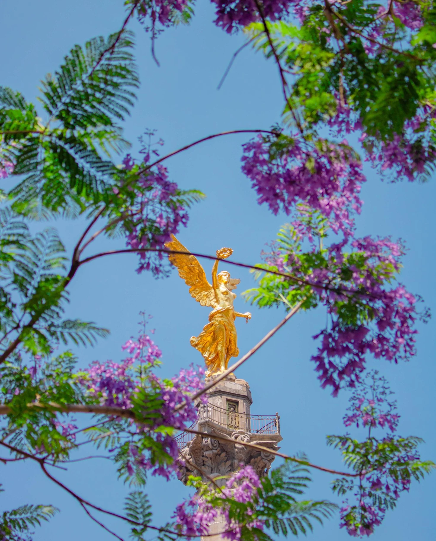 Landmark with golden angel with tree and blossoming flowers in front on clear day.