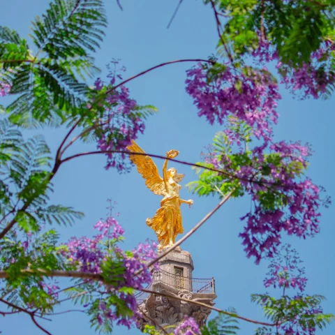 Landmark with golden angel with tree and blossoming flowers in front on clear day.