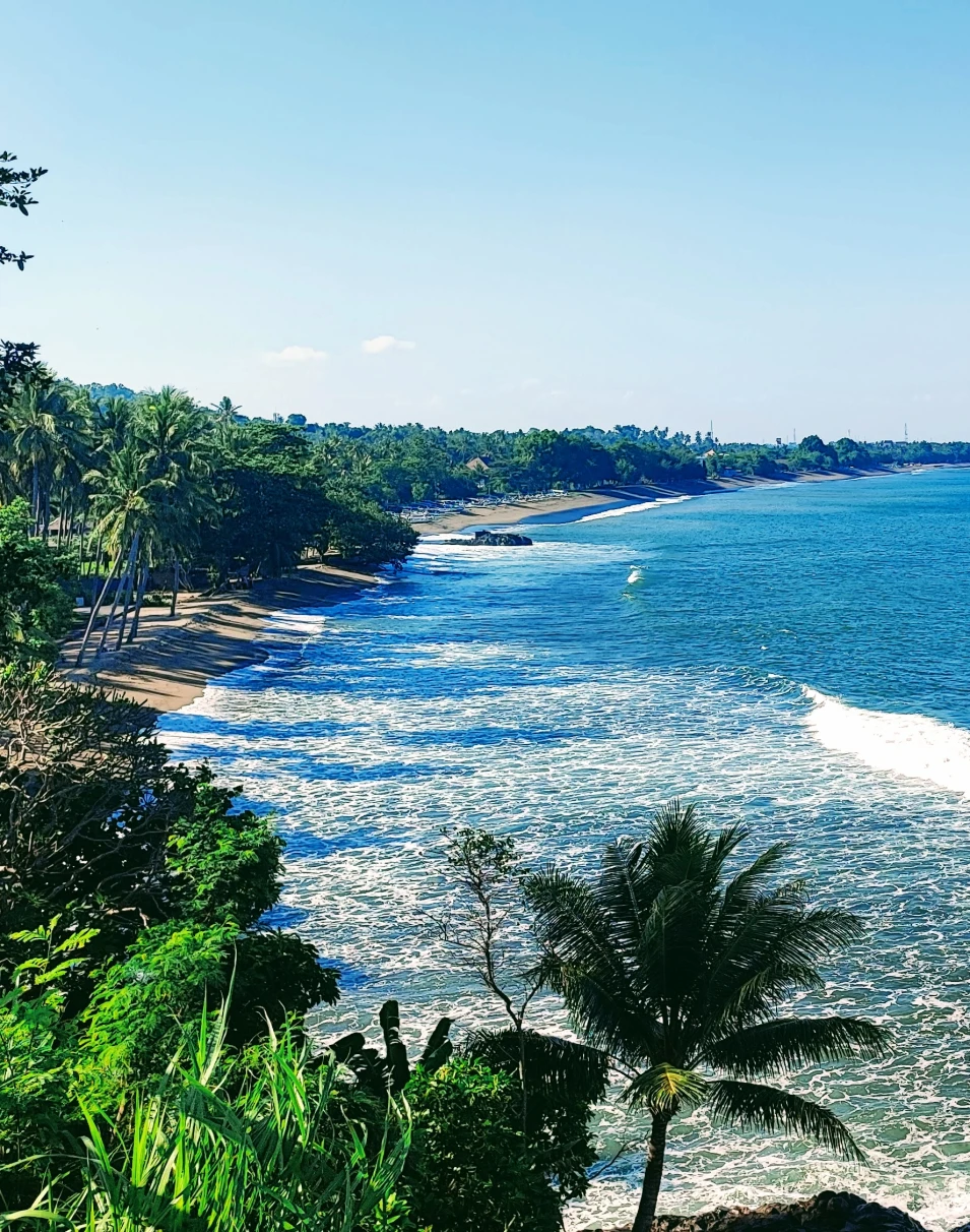 This image depicts a view of the blue sea with a shoreline, green trees and palm leaves in the surrounding areas. 