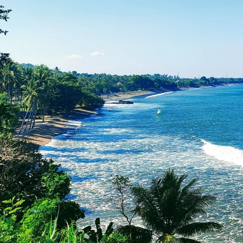 This image depicts a view of the blue sea with a shoreline, green trees and palm leaves in the surrounding areas. 