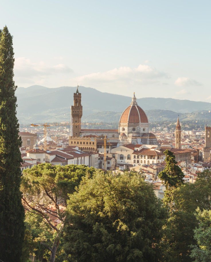 Trees and city with mountains in background during daytime