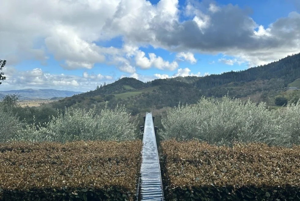 decorative stream overlooking a lush valley