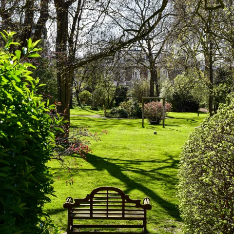 a private green garden with a small bench