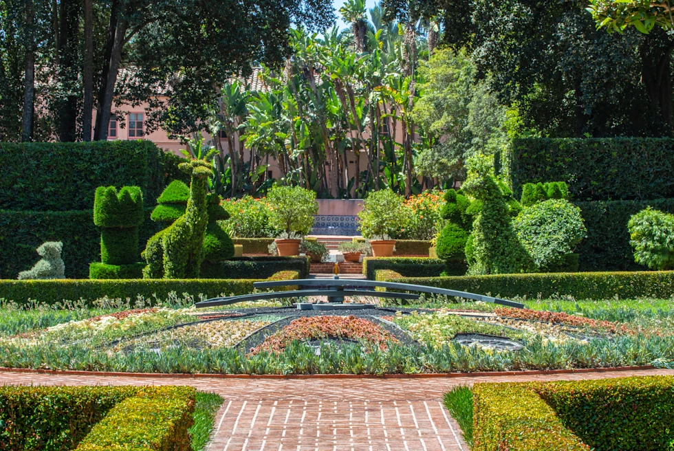 A garden full of plants