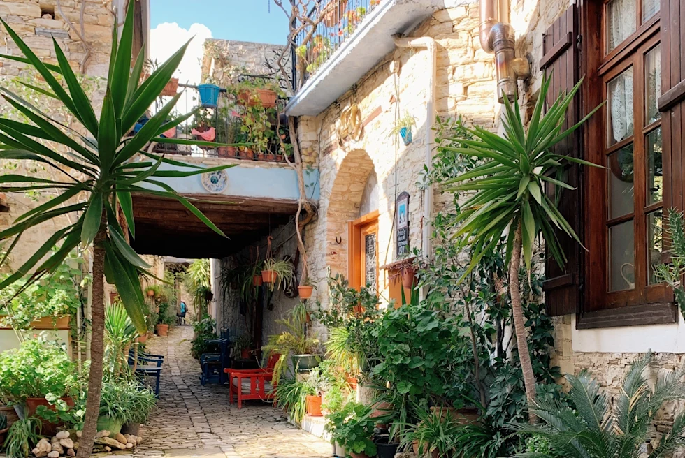 A pathway in a building with outdoor plants.