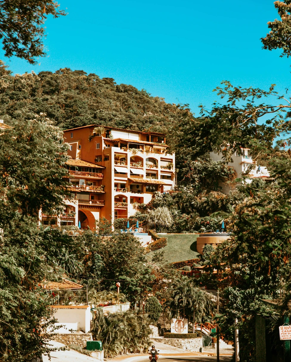 Street leading to house surrounded by trees in Ixtapa, Mexico