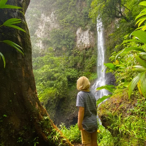 woman standing next to tree with waterfall in background during daytime