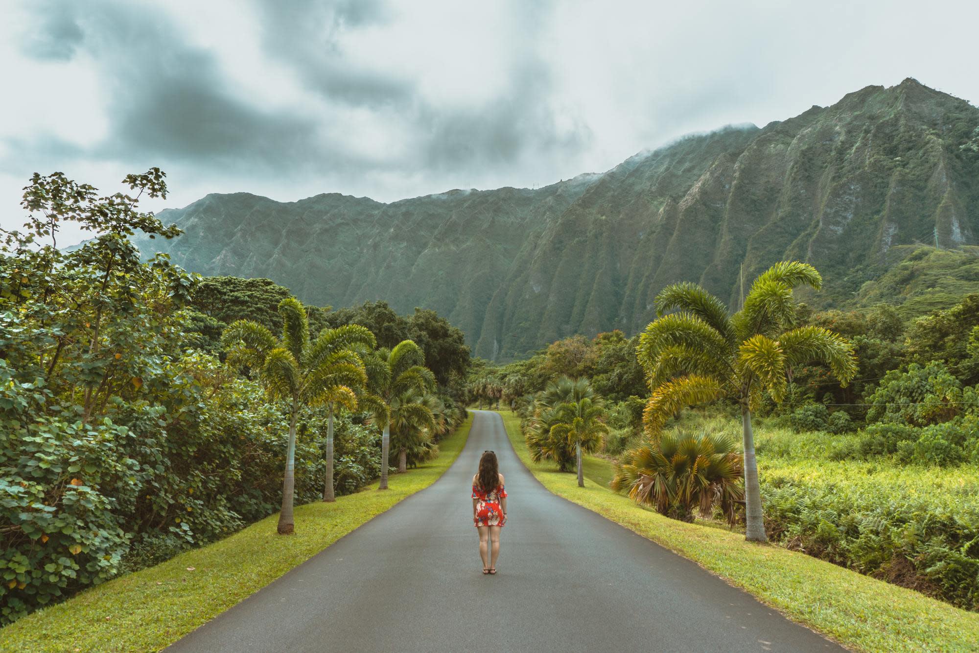 best-island-to-visit-in-hawaii-for-first-time-road-oahu