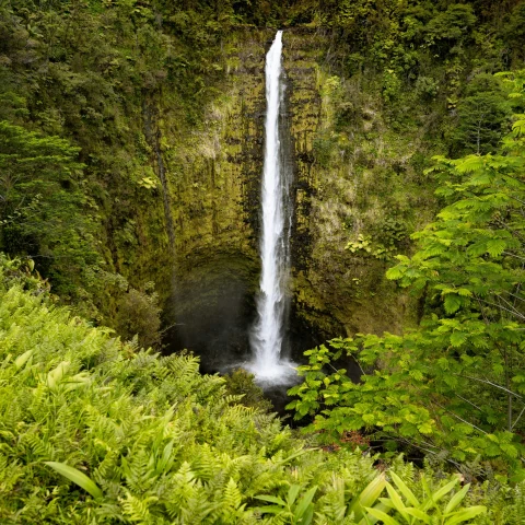 A waterfall with green hills and ferns surrounding it, near some of the Big Island restaurants.