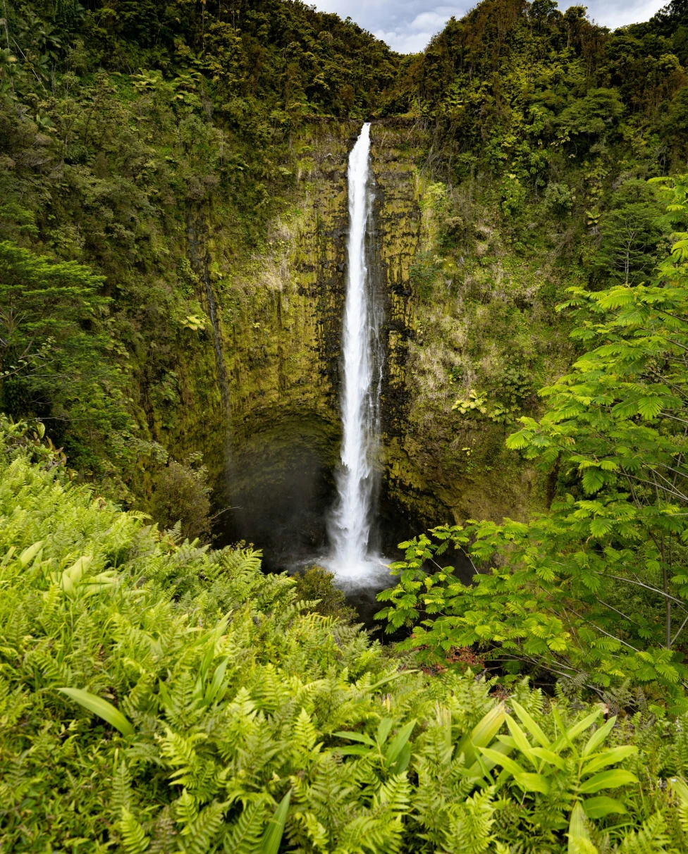 A waterfall with green hills and ferns surrounding it, near some of the Big Island restaurants.
