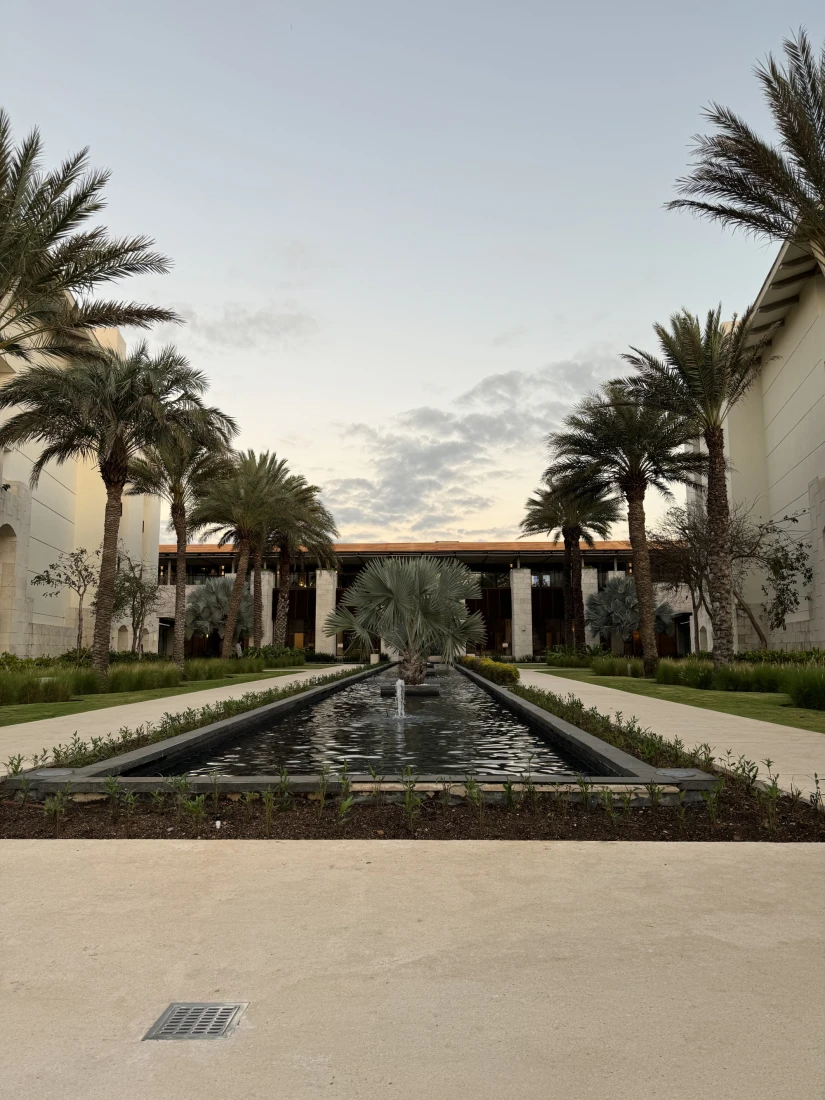 An outdoor terrace with palm trees lining the sides of a long fountain and floral landscaping. 