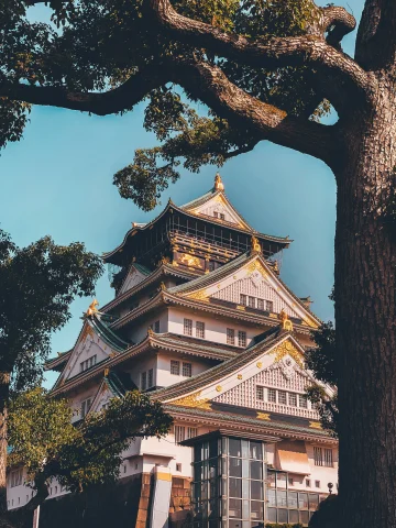 Castle in Osaka, Japan with tree in foreground