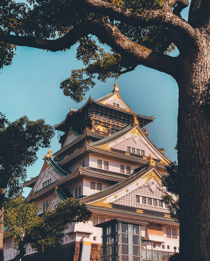 Castle in Osaka, Japan with tree in foreground