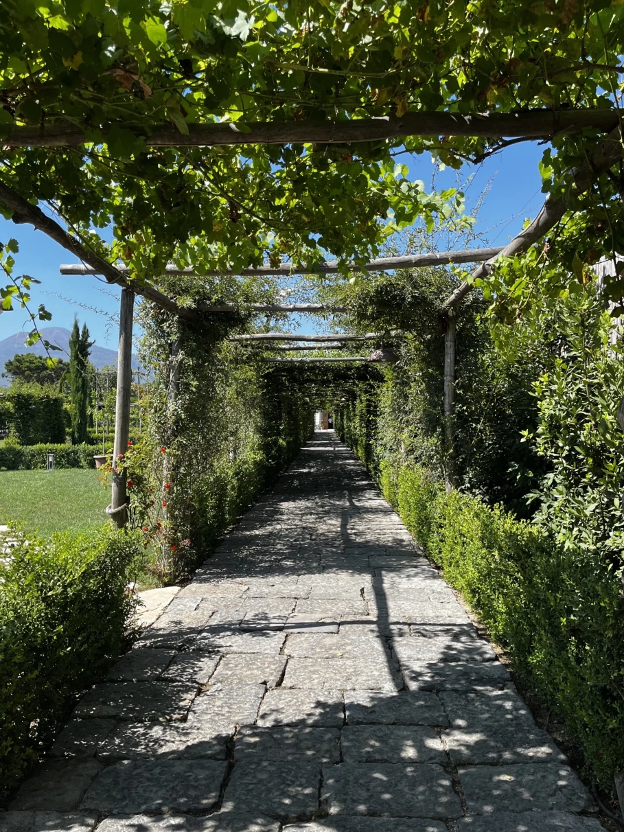 walkway through arboretum 