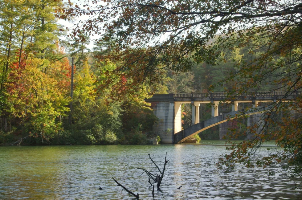 bridge in fall foliage