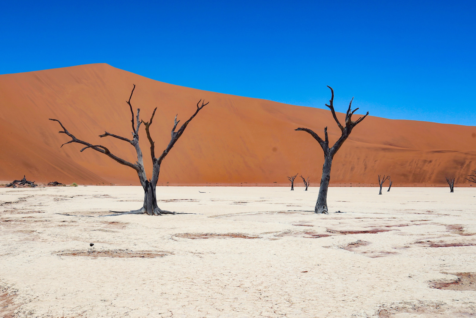 Sossusvlei dessert in Namibia, Africa 