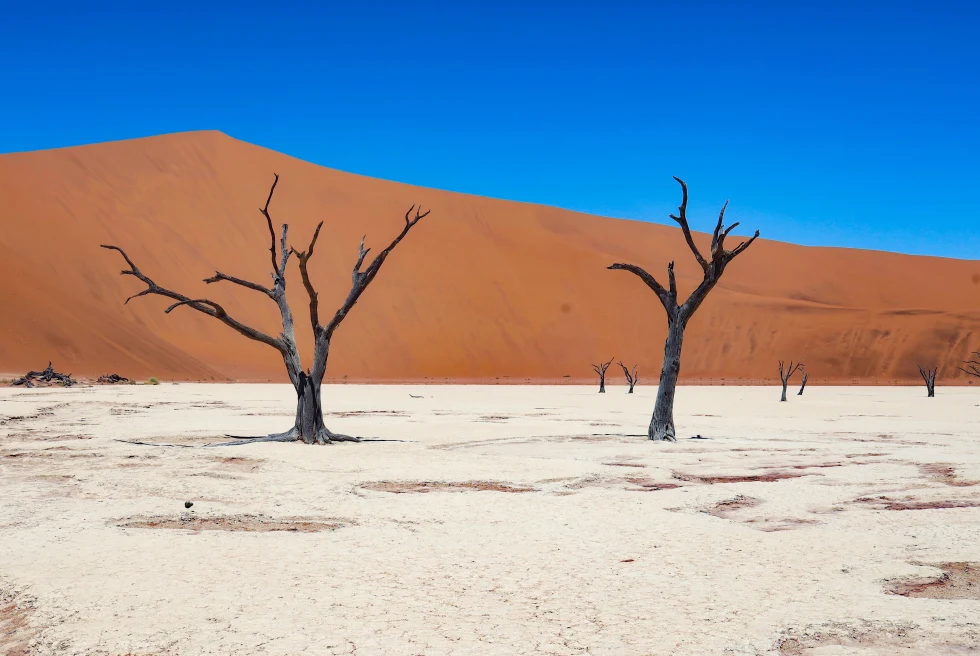 Sossusvlei dessert in Namibia, Africa