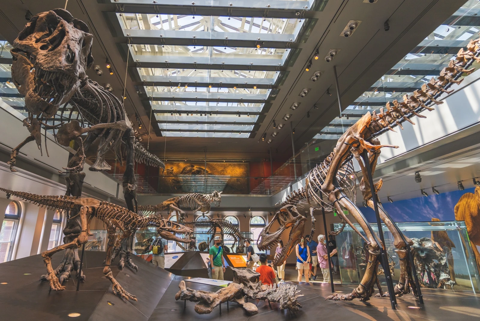 The Natural History Museum of Los Angeles County is an immersive journey through time and nature, showcasing diverse exhibits that unravel the Earth's history and biodiversity.