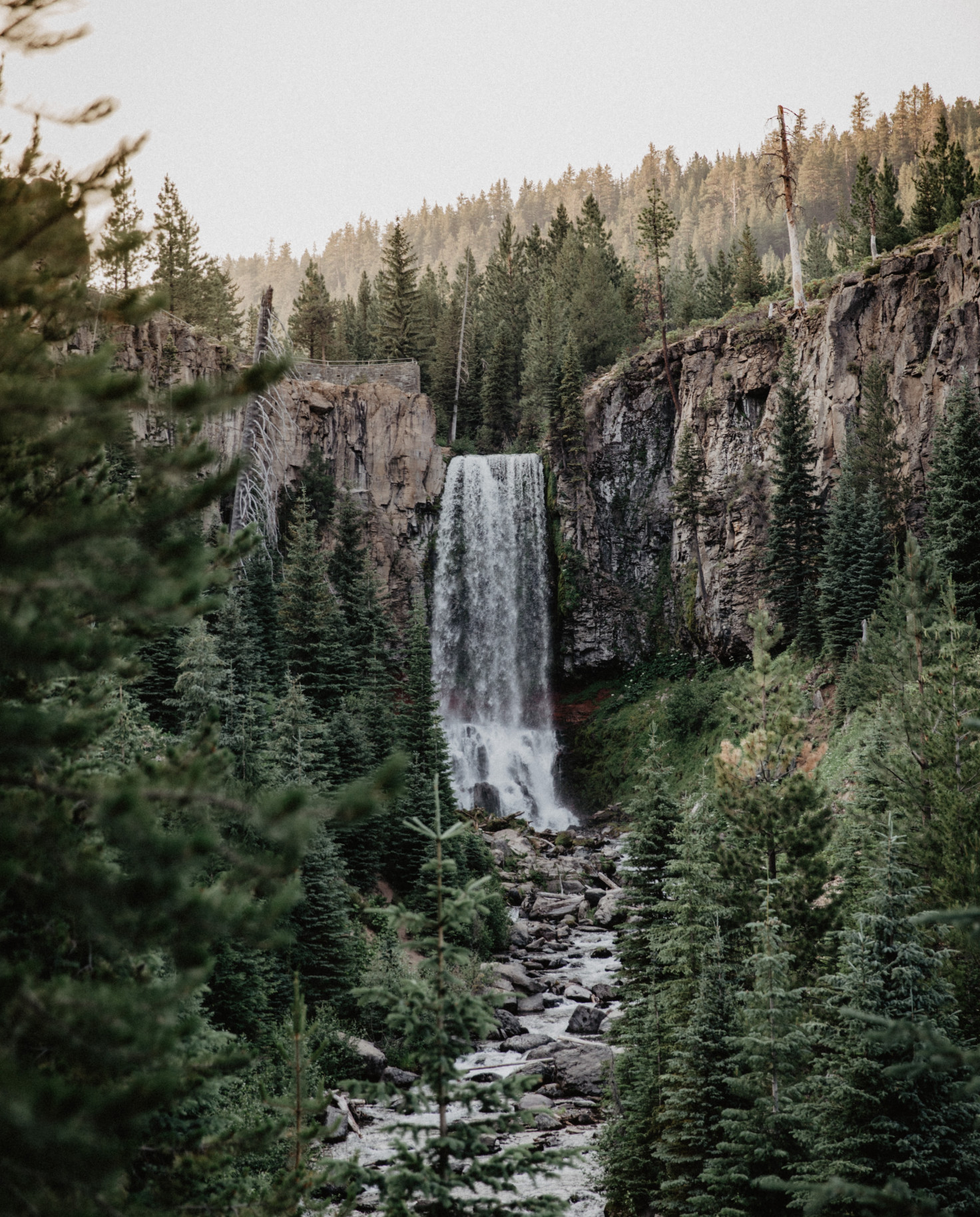 Waterfall and river surrounded by green forest