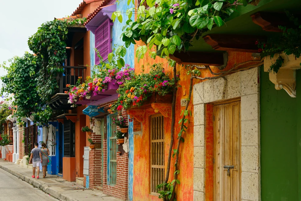 Rows of colorful houses in Cartagena Colombia with orange blue purple blue and green painted and green pink plants and flowers