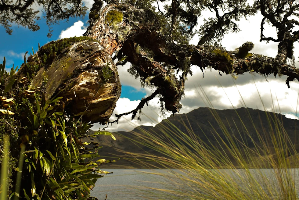 view of lake and mountains in national park