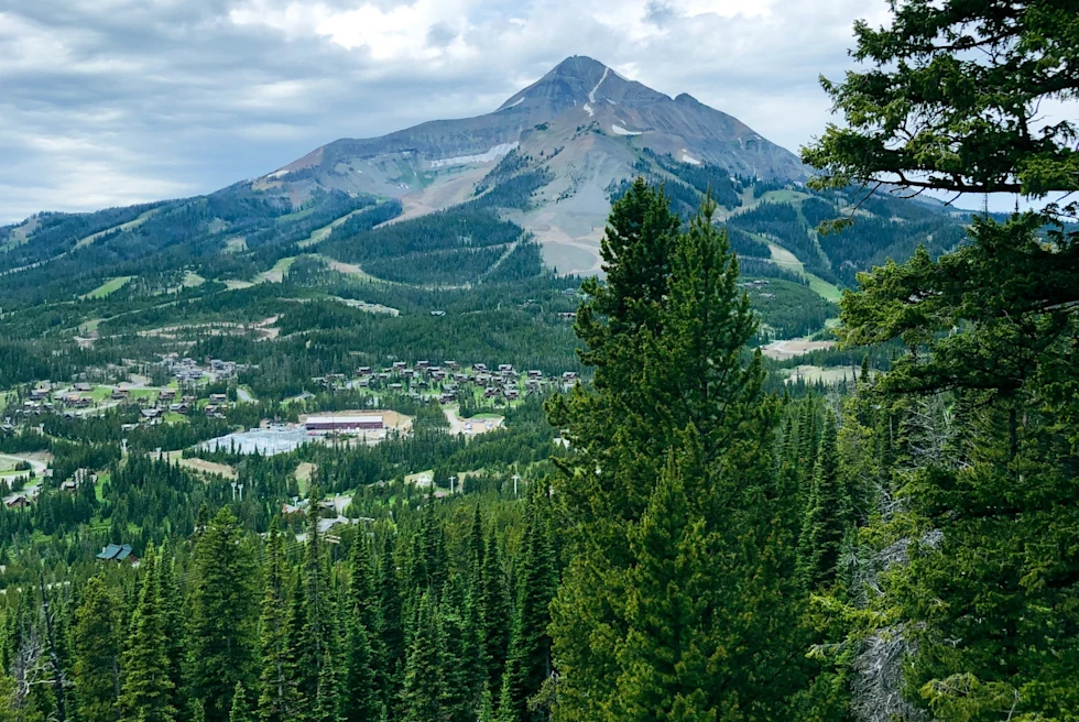 mountain valley covered in pines