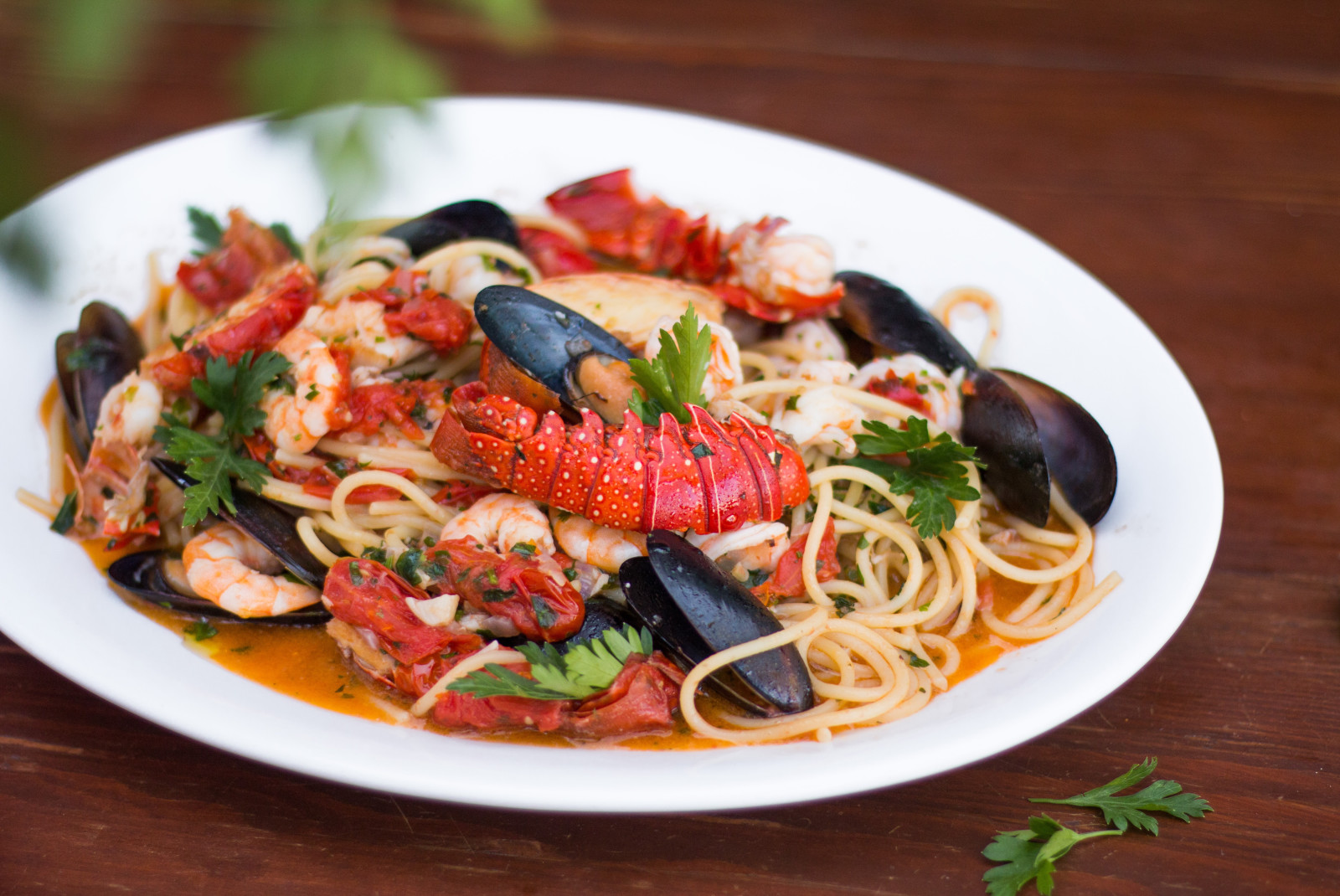 Pasta with clams and herbs on white plate