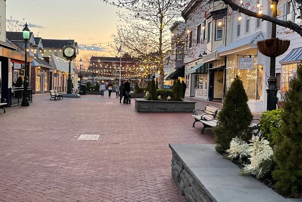 trees on road sunset